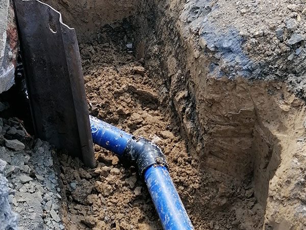 IMG_20230711_130354-qd446n1cuu9dg42lv3v1svz9dvyliqcx0a5pyq7kwk