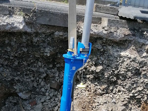 IMG_20230711_131220-qd446tm86oidpdt1sopfscbhjl260m31d6q4bnxtp0 (1)