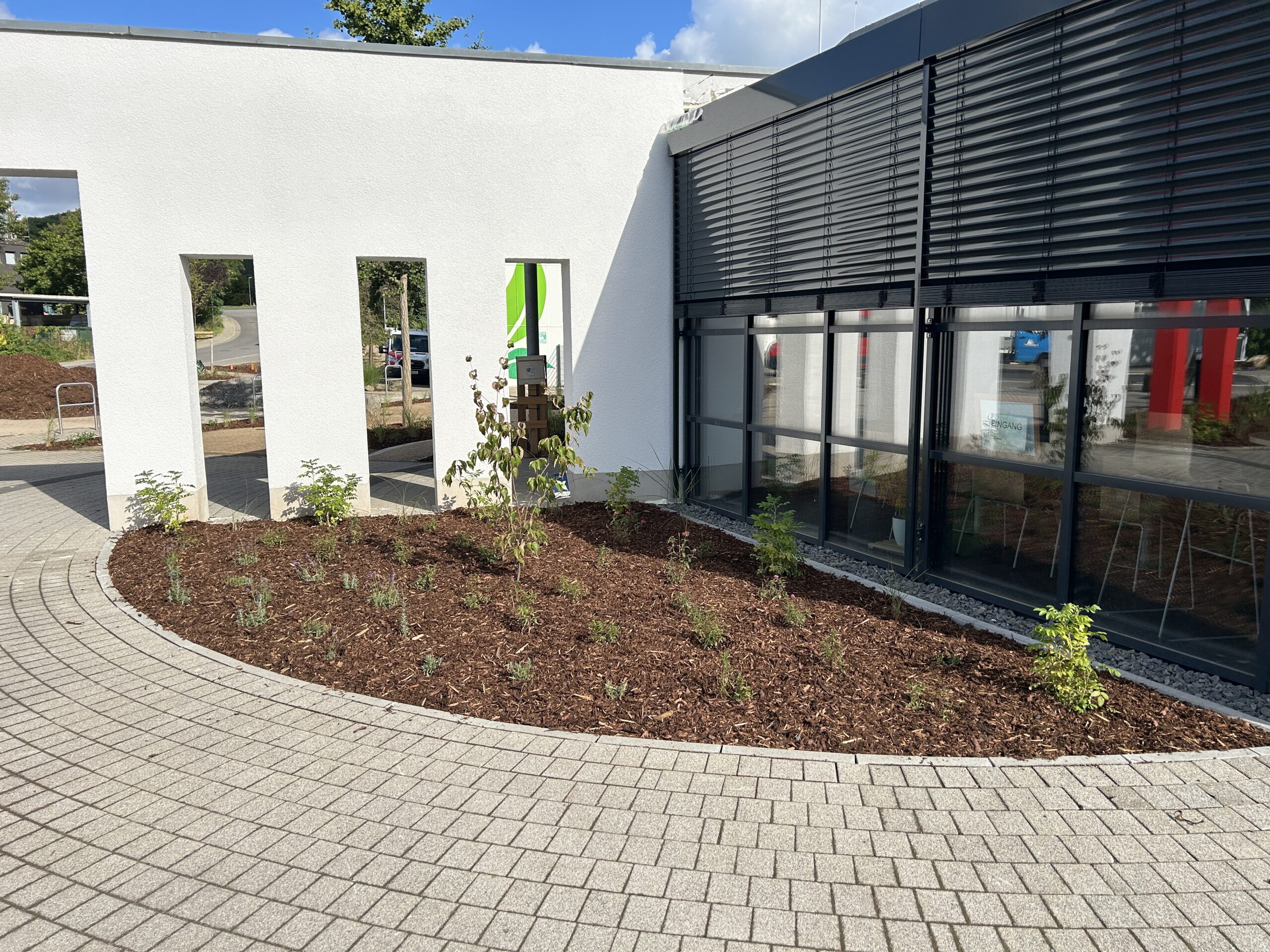 IMG_8930-scaled IMG_8930-scaled