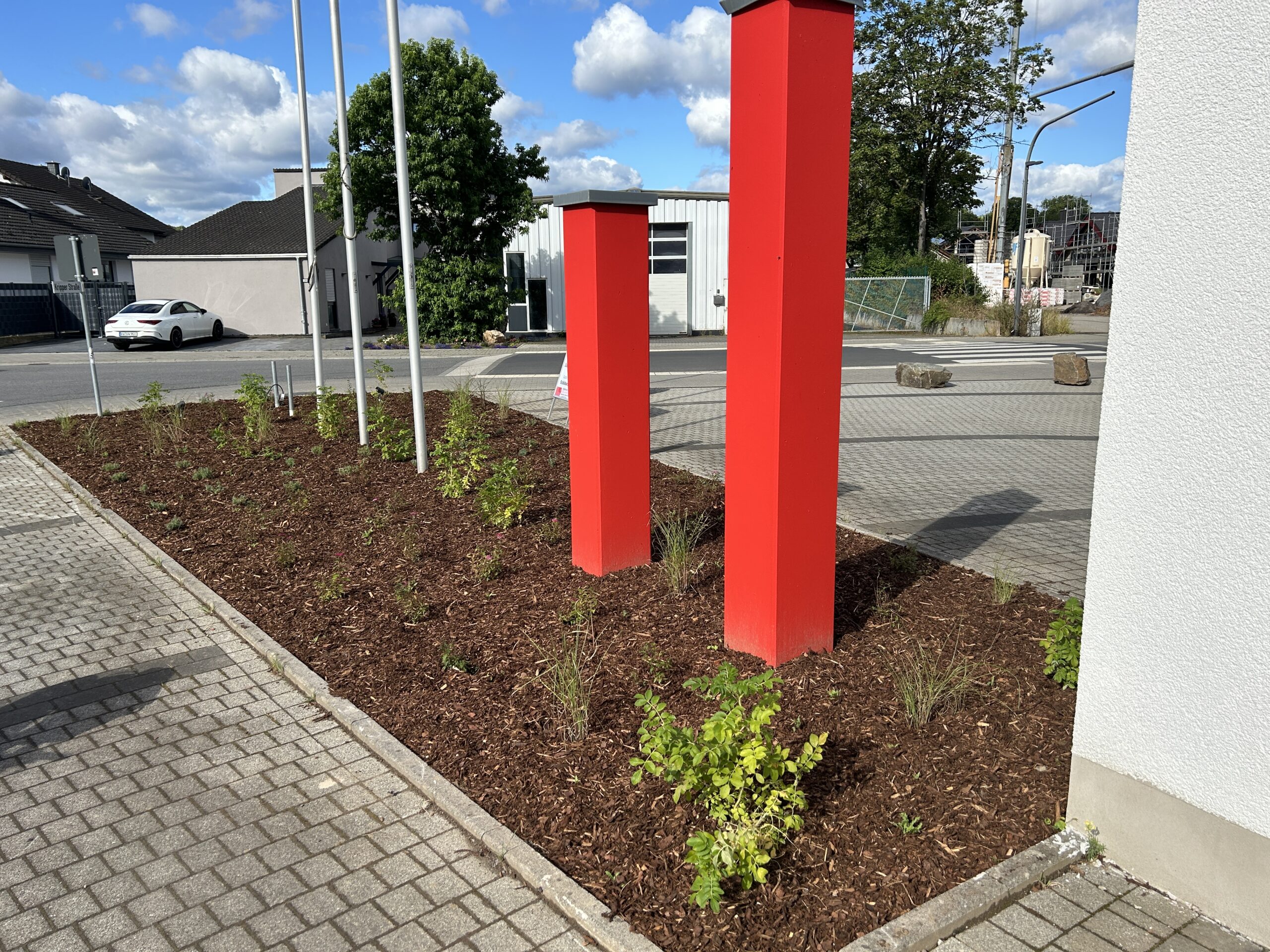 IMG_8931-scaled IMG_8931-scaled