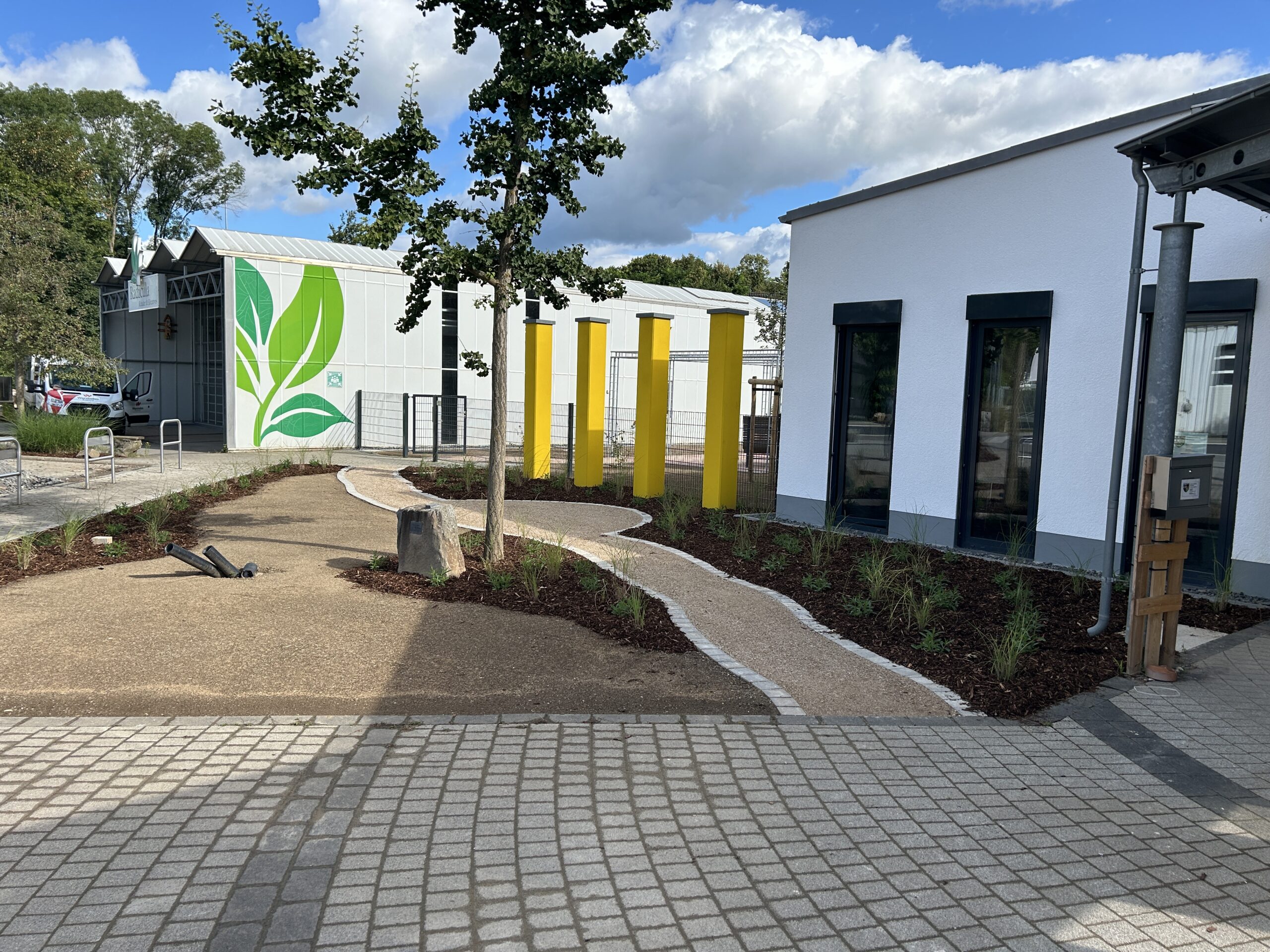 IMG_8933-scaled IMG_8933-scaled