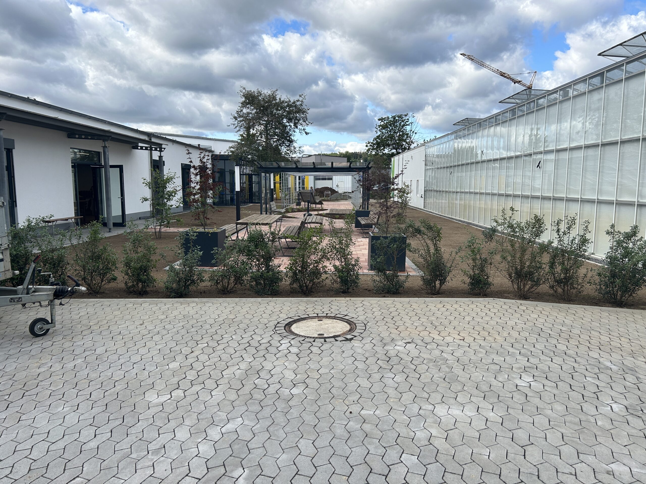 IMG_8948-scaled IMG_8948-scaled