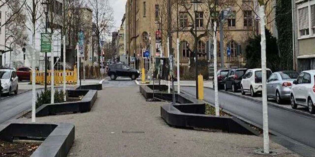 Die Südallee wird grün